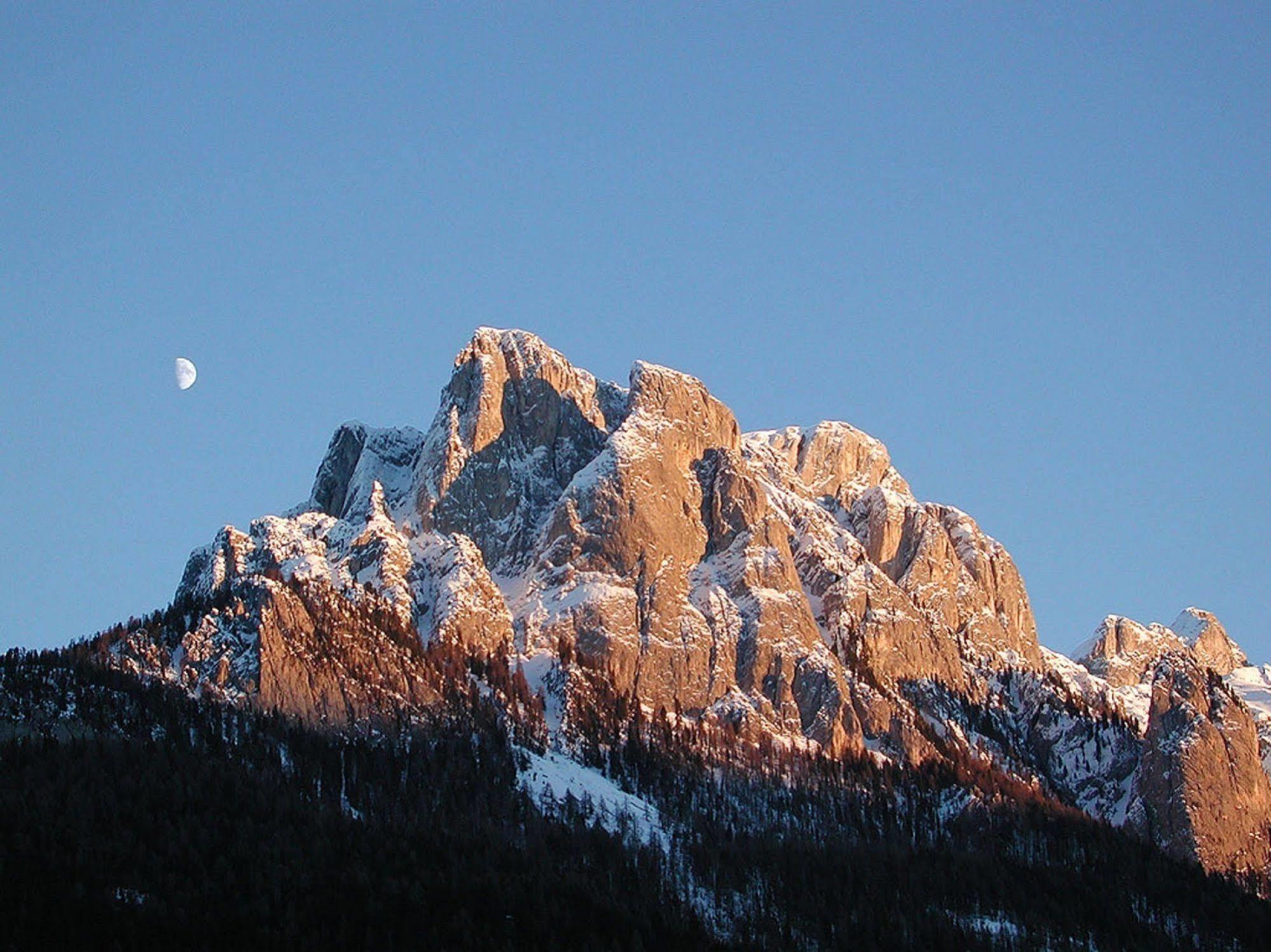 Gh Hotel Monzoni Pozza di Fassa Dış mekan fotoğraf